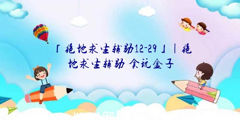 「绝地求生辅助12-29」|绝地求生辅助